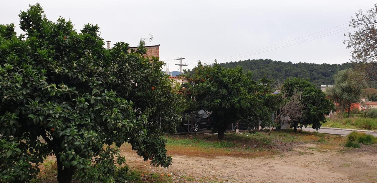 Walnut Home Apartment Near Ancient Olympia Kréstena Exteriör bild